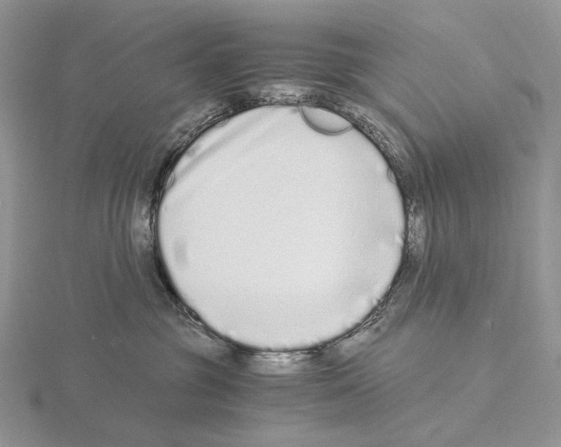 X0000115140381200912081331