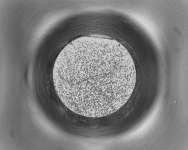 X0000115140382200912081331