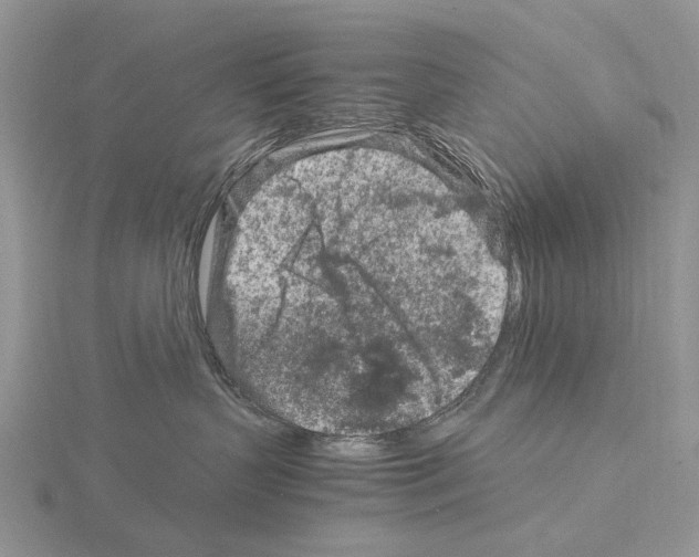 X0000115140383200912081331