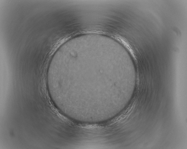 X0000115140385200912081330