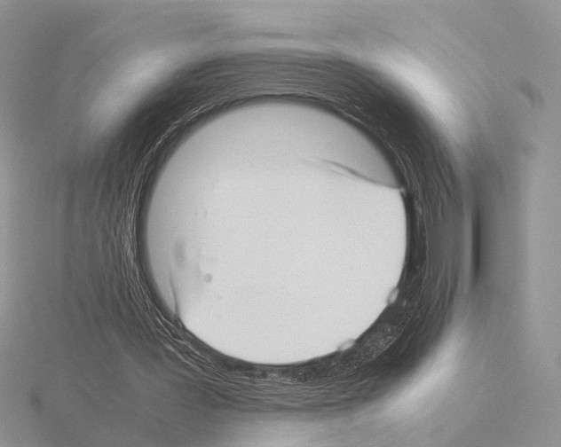 X0000115140387200912081330