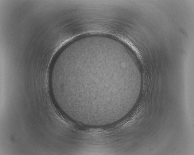 X0000115140391200912081330