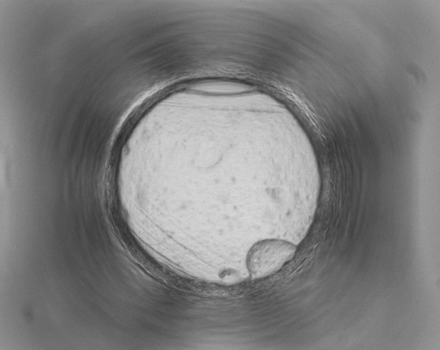 X0000115140392200912081330