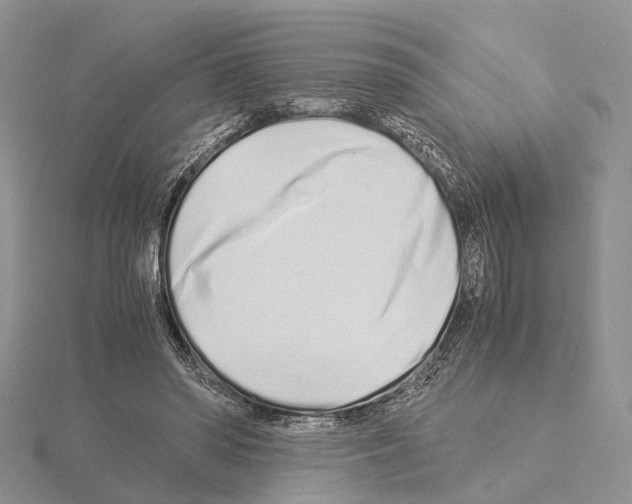 X0000115140398200912081330