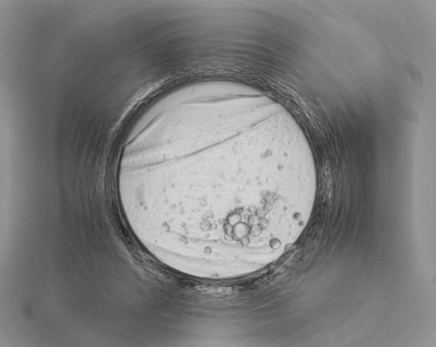 X0000115140400200912081330