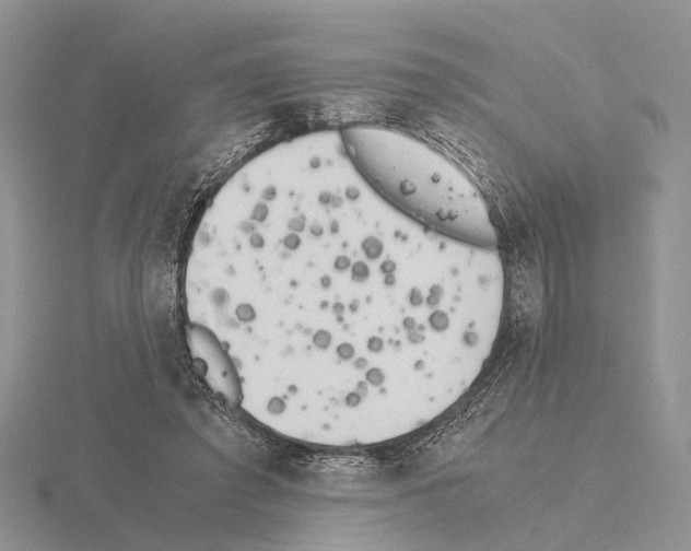 X0000115140401200912081330