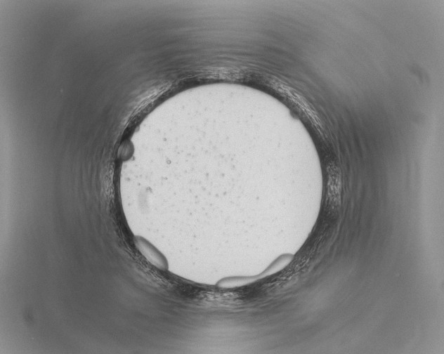 X0000115140403200912081330