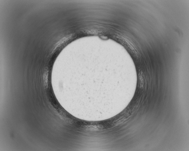 X0000115140404200912081330