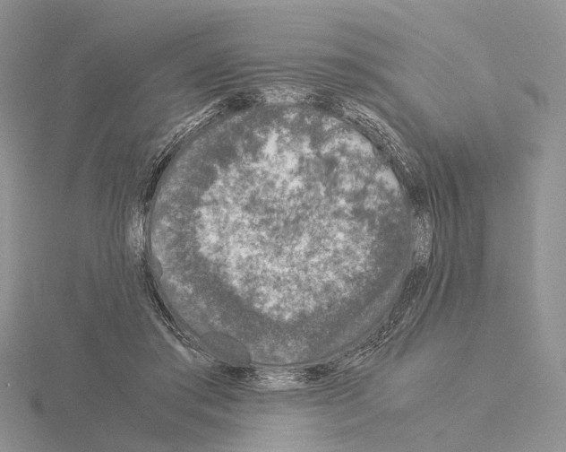 X0000115140405200912081330