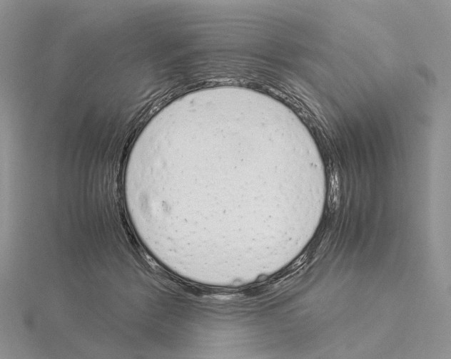 X0000115140412200912081330