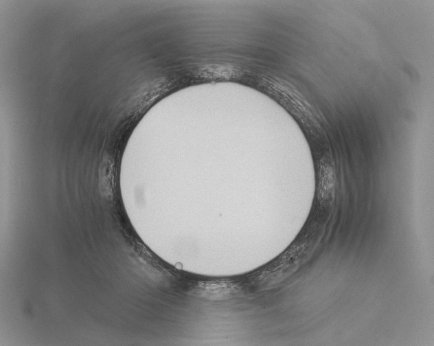 X0000115140414200912081330