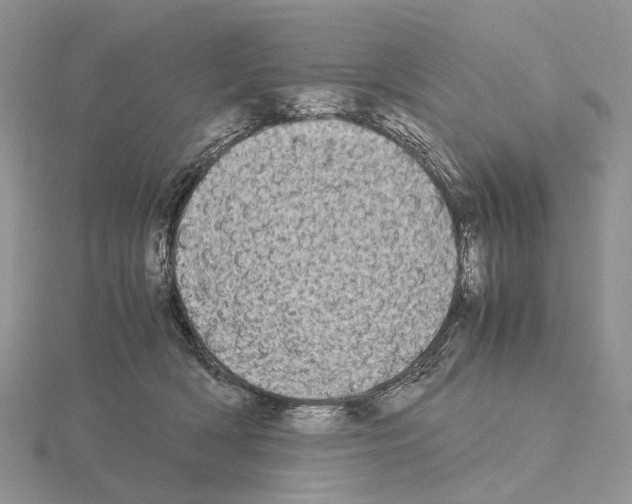 X0000115140418200912081329