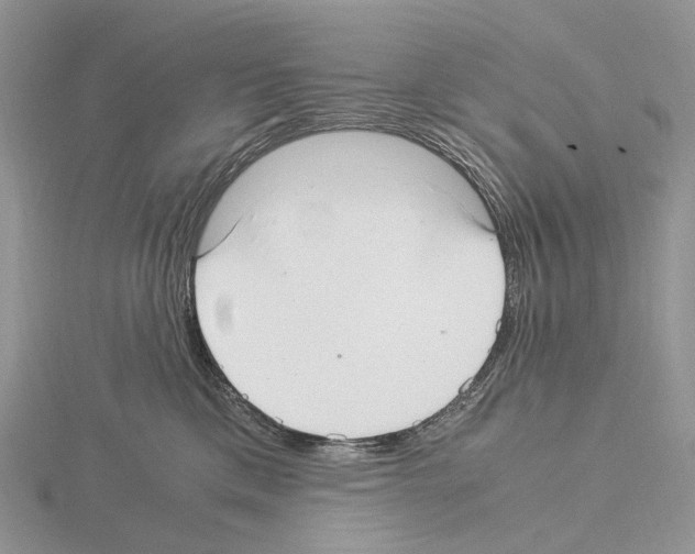 X0000115140425200912081329