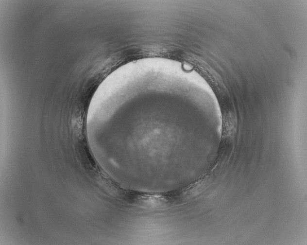 X0000115140427200912081329