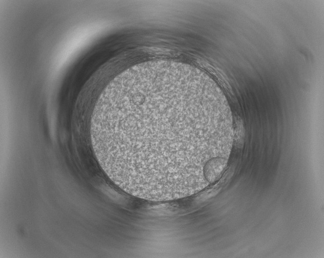X0000115140430200912081329
