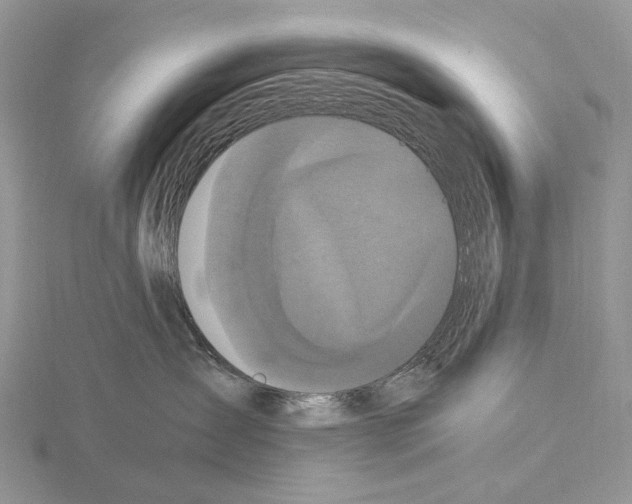 X0000115140431200912081329