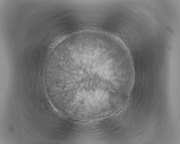 X0000115140433200912081329