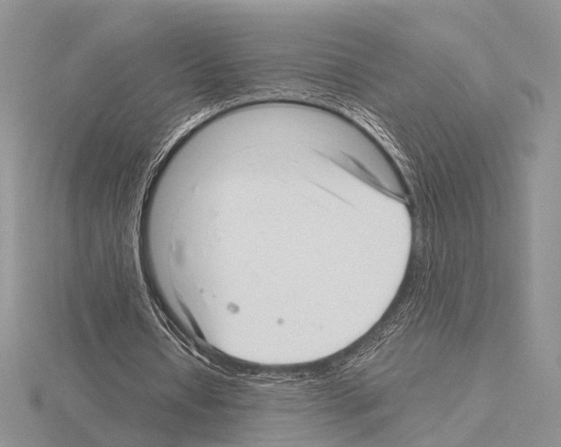 X0000115140434200912081329