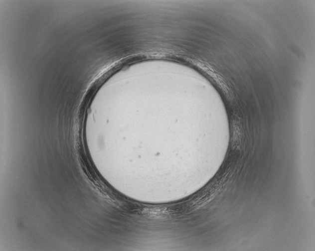 X0000115140440200912081329