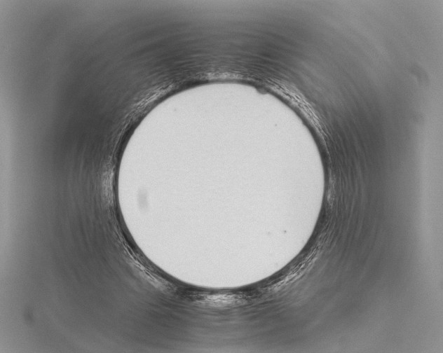 X0000115140441200912081329