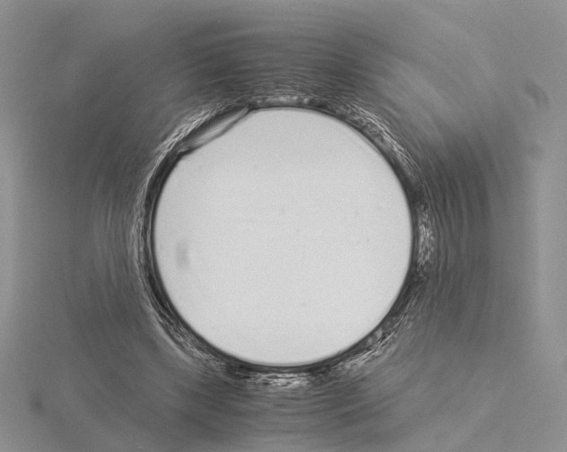 X0000115140443200912081329