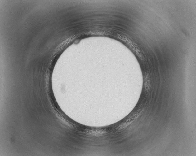 X0000115140445200912081329