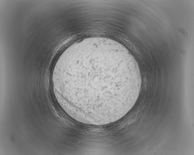 X0000115140446200912081329