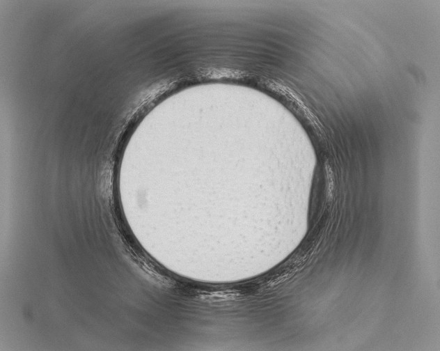 X0000115140447200912081329