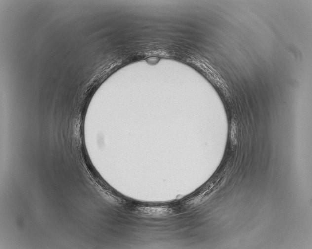 X0000115140449200912081329