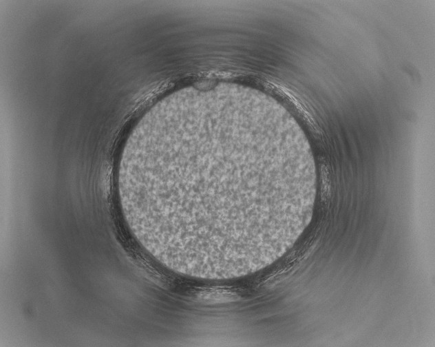 X0000115140451200912081329