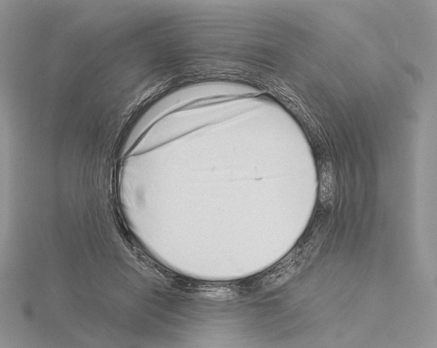 X0000115140454200912081329