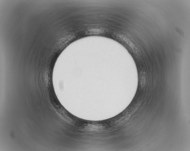 X0000115140455200912081329