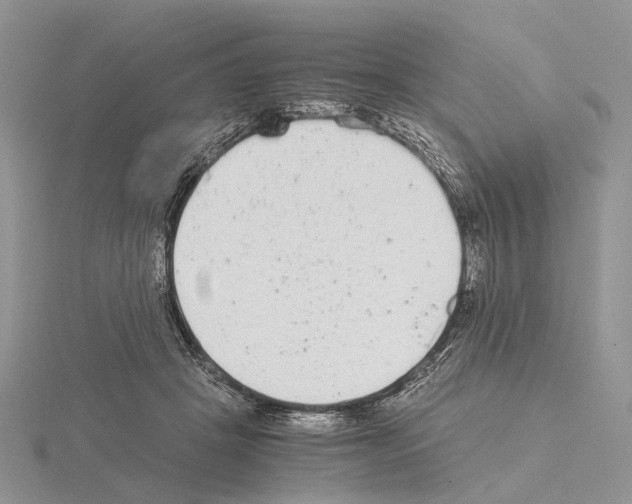 X0000115140457200912081329