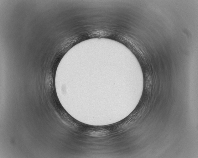 X0000115140459200912081329