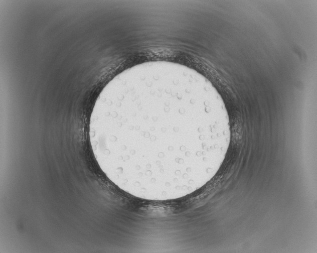 X0000115140464200912081329