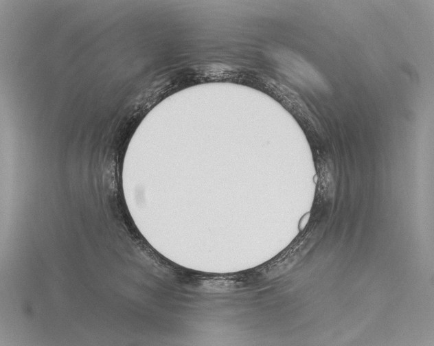 X0000115140470200912081329
