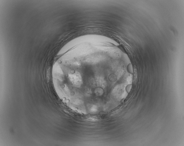 X0000115140475200912081329