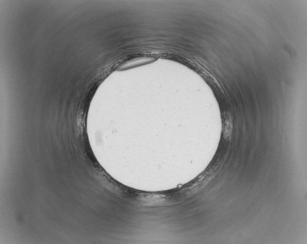 X0000115140476200912081329