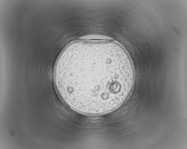 X0000115140479200912081329