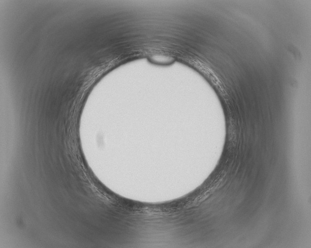 X0000115140481200912081329