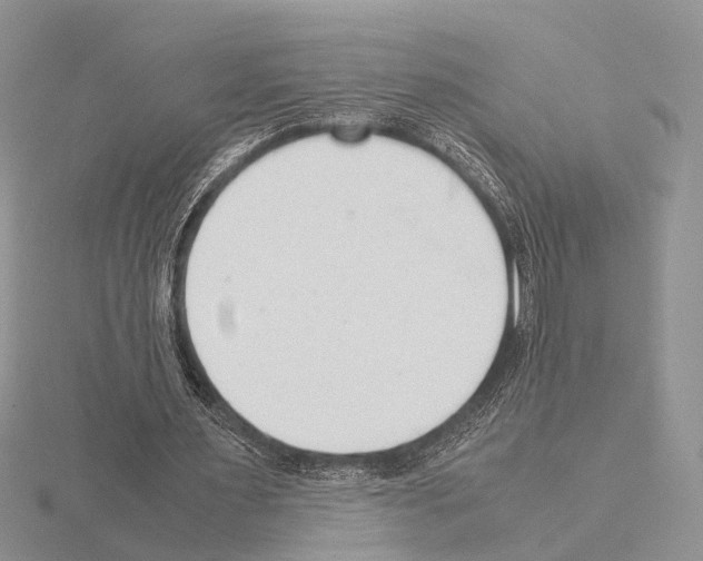 X0000115140483200912081329