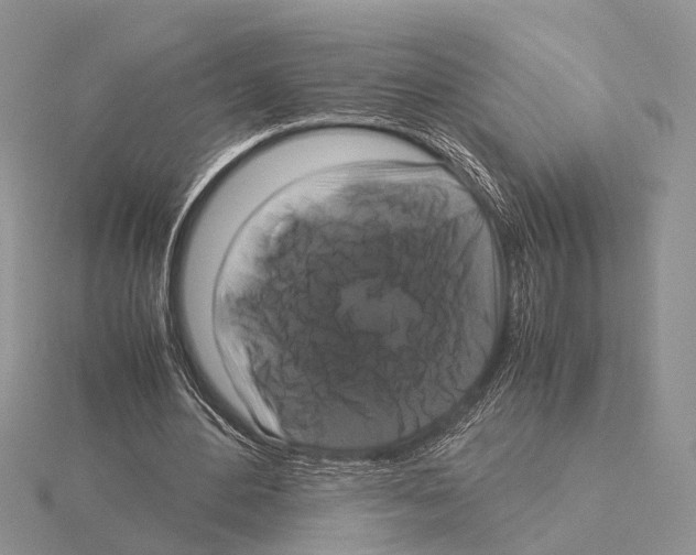 X0000115140484200912081329