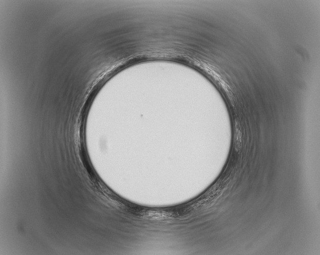 X0000115140487200912081329