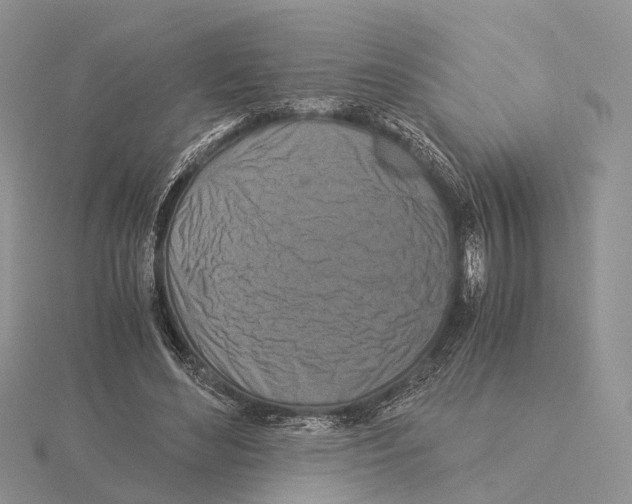 X0000115140492200912081329