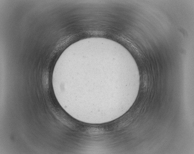 X0000115140494200912081329