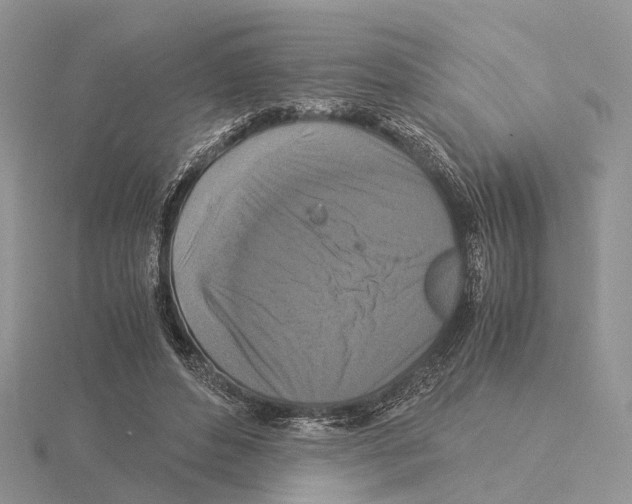 X0000115140496200912081328