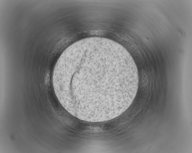 X0000115140502200912081328