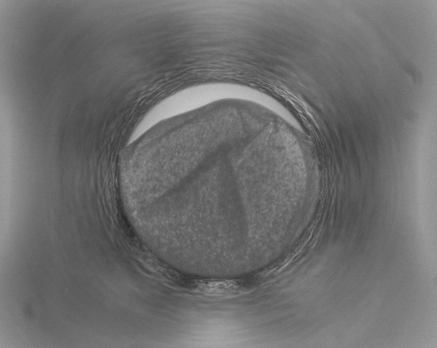 X0000115140517200912081328