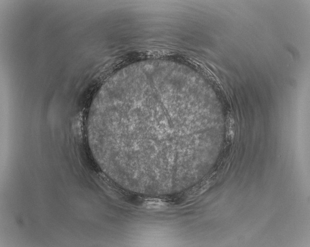 X0000115140519200912081328