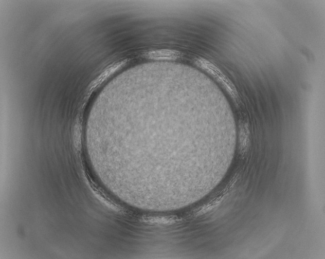 X0000115140533200912081328